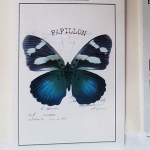 NEW H&M Papillon duvet cover twin 100% cotton